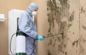 Best HVAC Mold Inspection and Cleaning  in Diamond Bar, CA